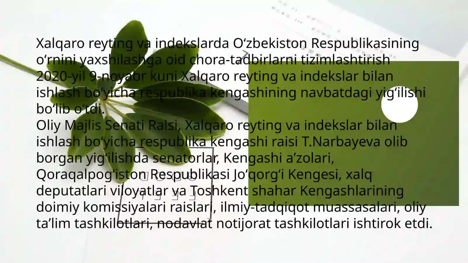 Xalqaro reyting va indekslar 2