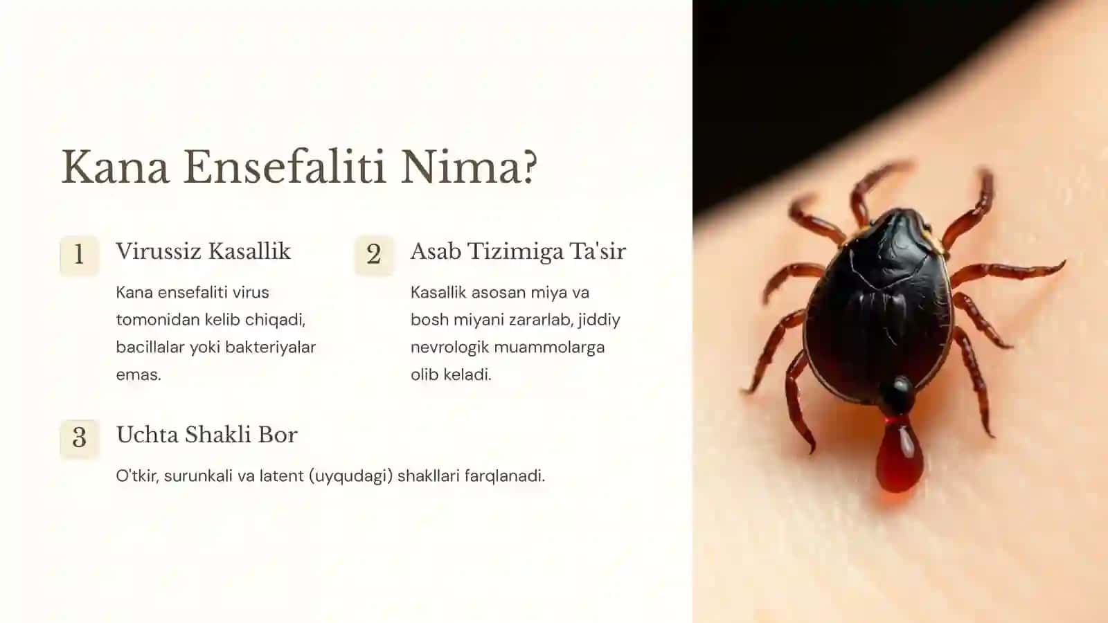 Kana Ensefaliti: Etiologiya, Epidemiologiya, Klinikasi, Diagnostika va Davolash 2