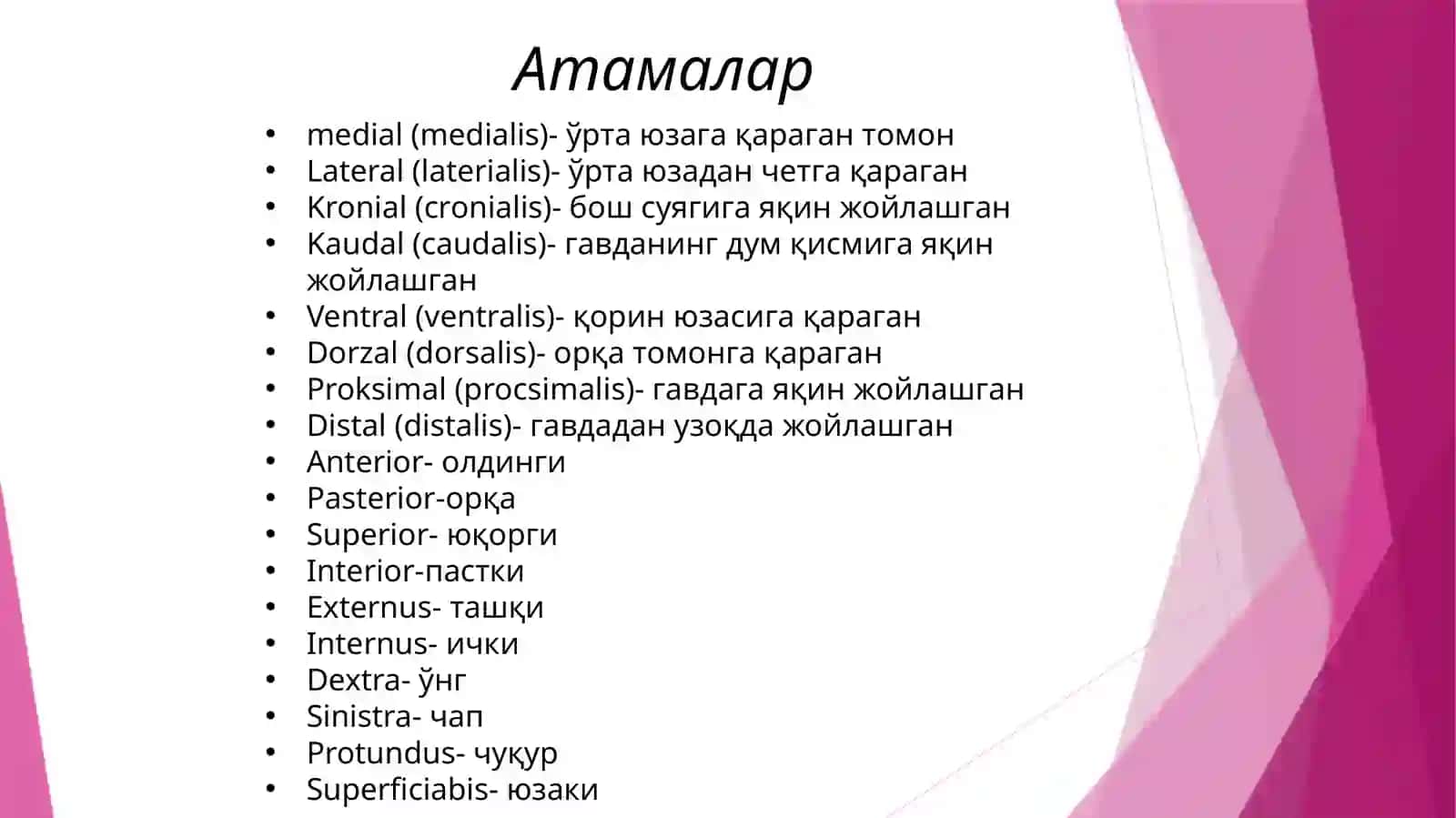 Одаманатомиясифанида лотинчатерминлар.Умуртқа поғонаси,биринчи,иккинчива учинчибўйинумуртқалари 2