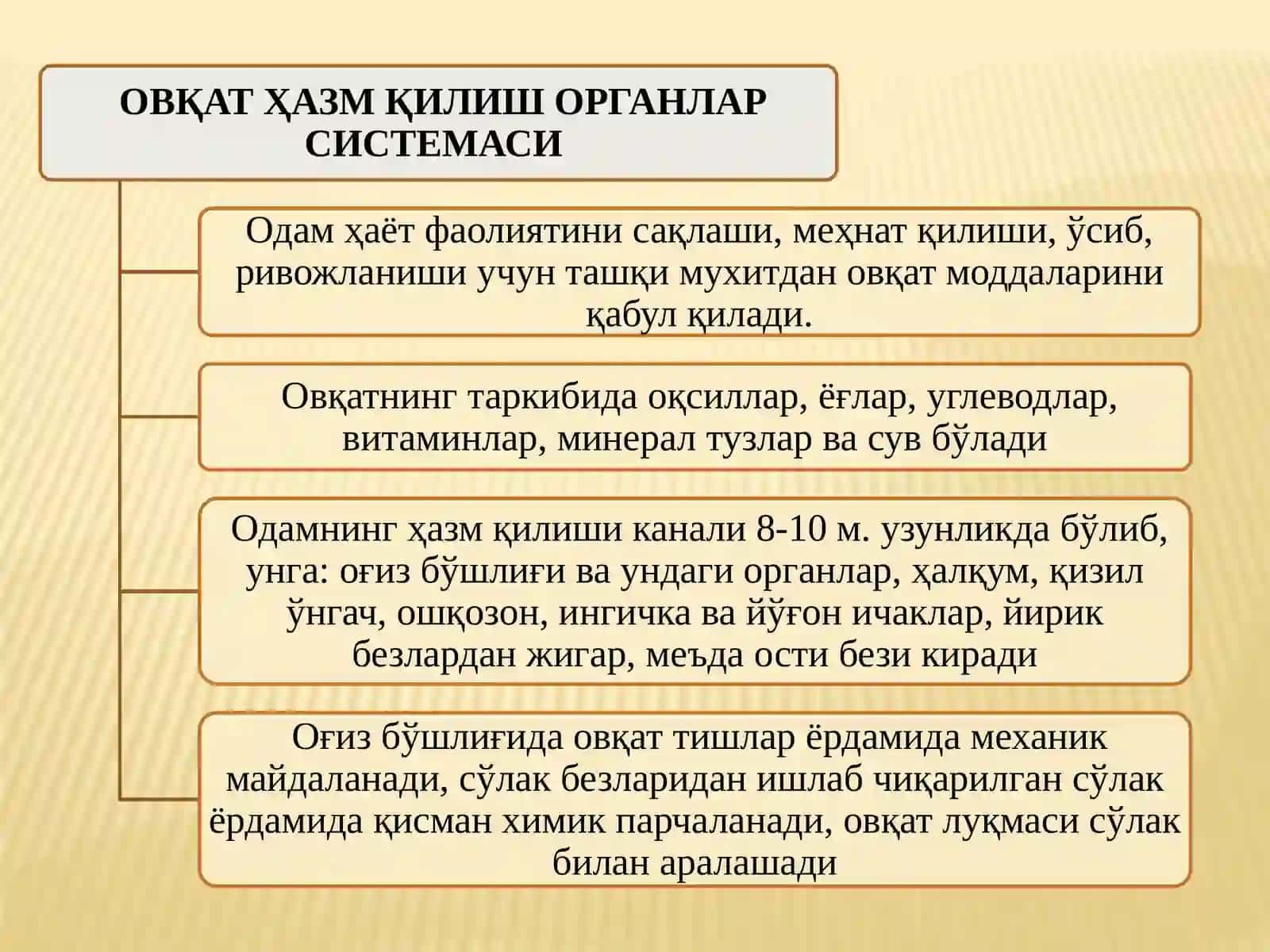 ОВҚАТ ҲАЗМ ҚИЛИШ ТИЗИМИНИНГ ЁШ 2