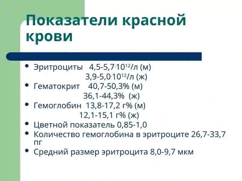 Лекция 13 Патофизиология красной крови 2