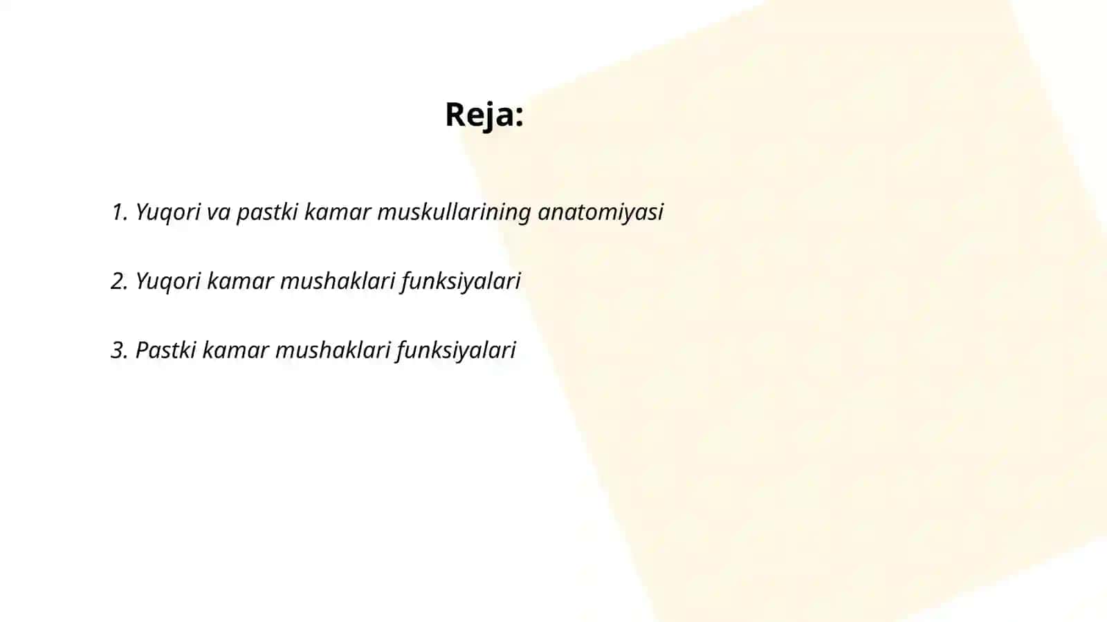 Yuqori va pastki kamar muskullari haqida umumiy tushuncha 2