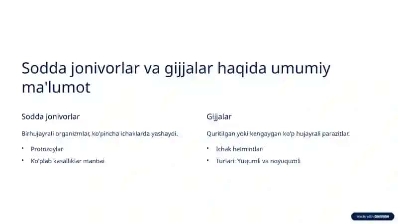 Sodda jonivorlar va gijjalar haqida umumiy ma'lumot 2