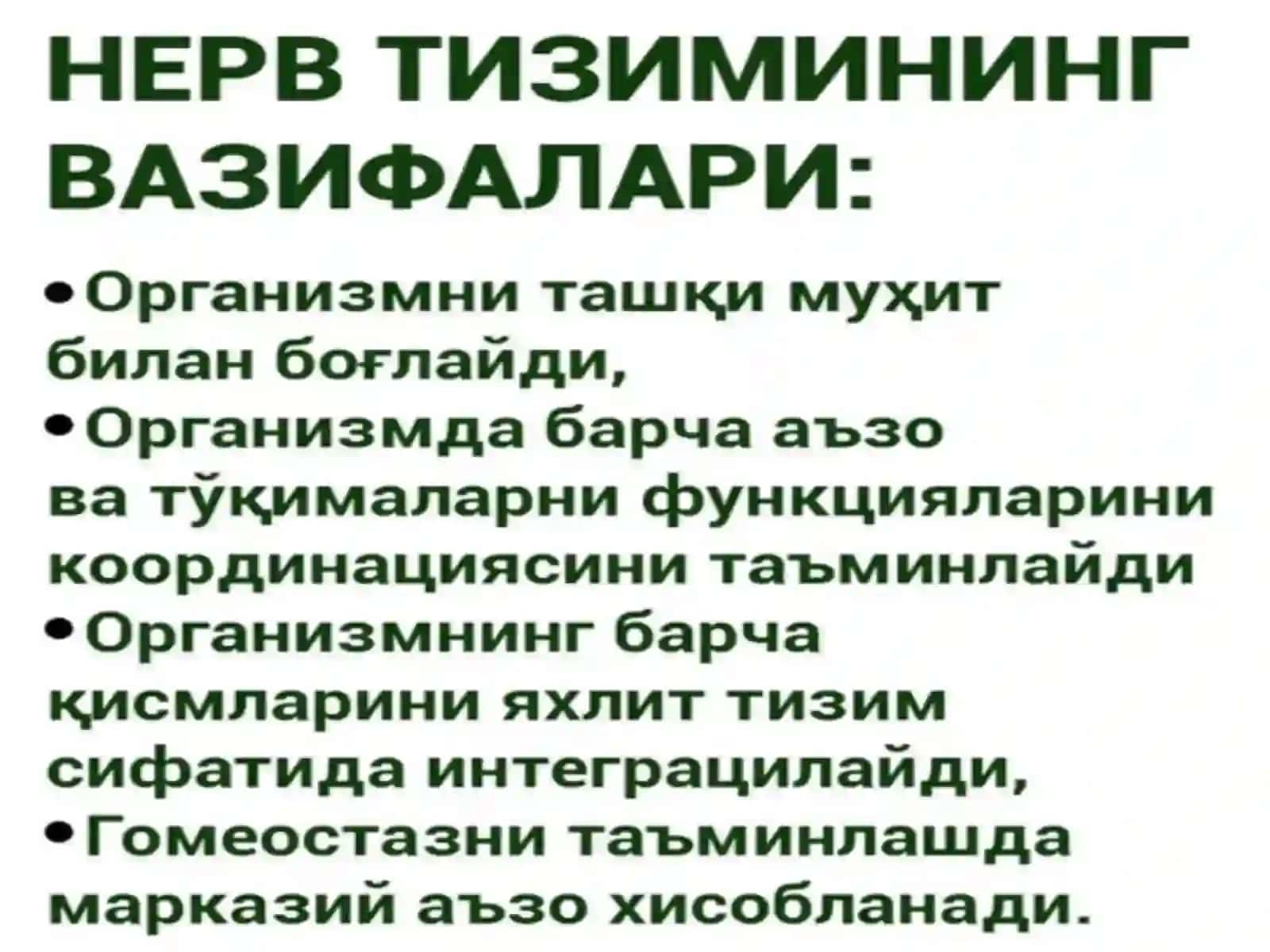 Nervtizimibiokimyosi 2