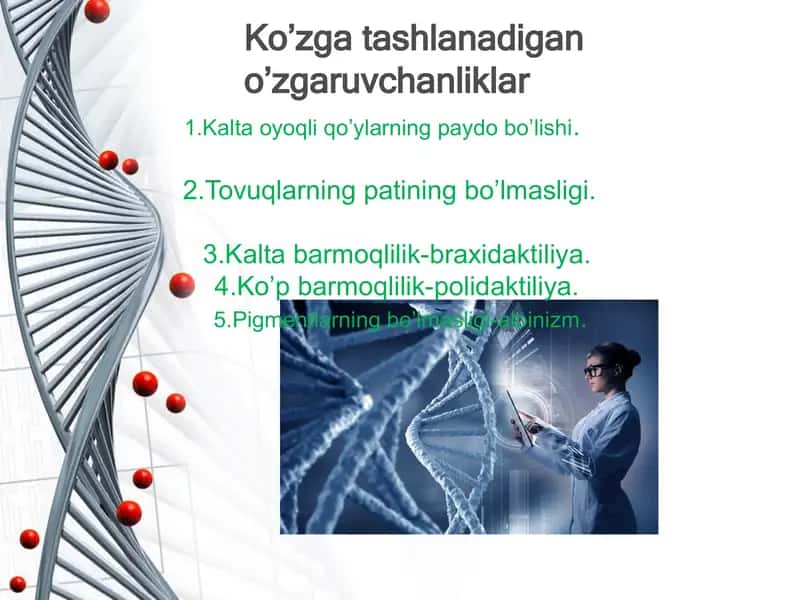 Iroda nazariyasi va tadqiqoti 2