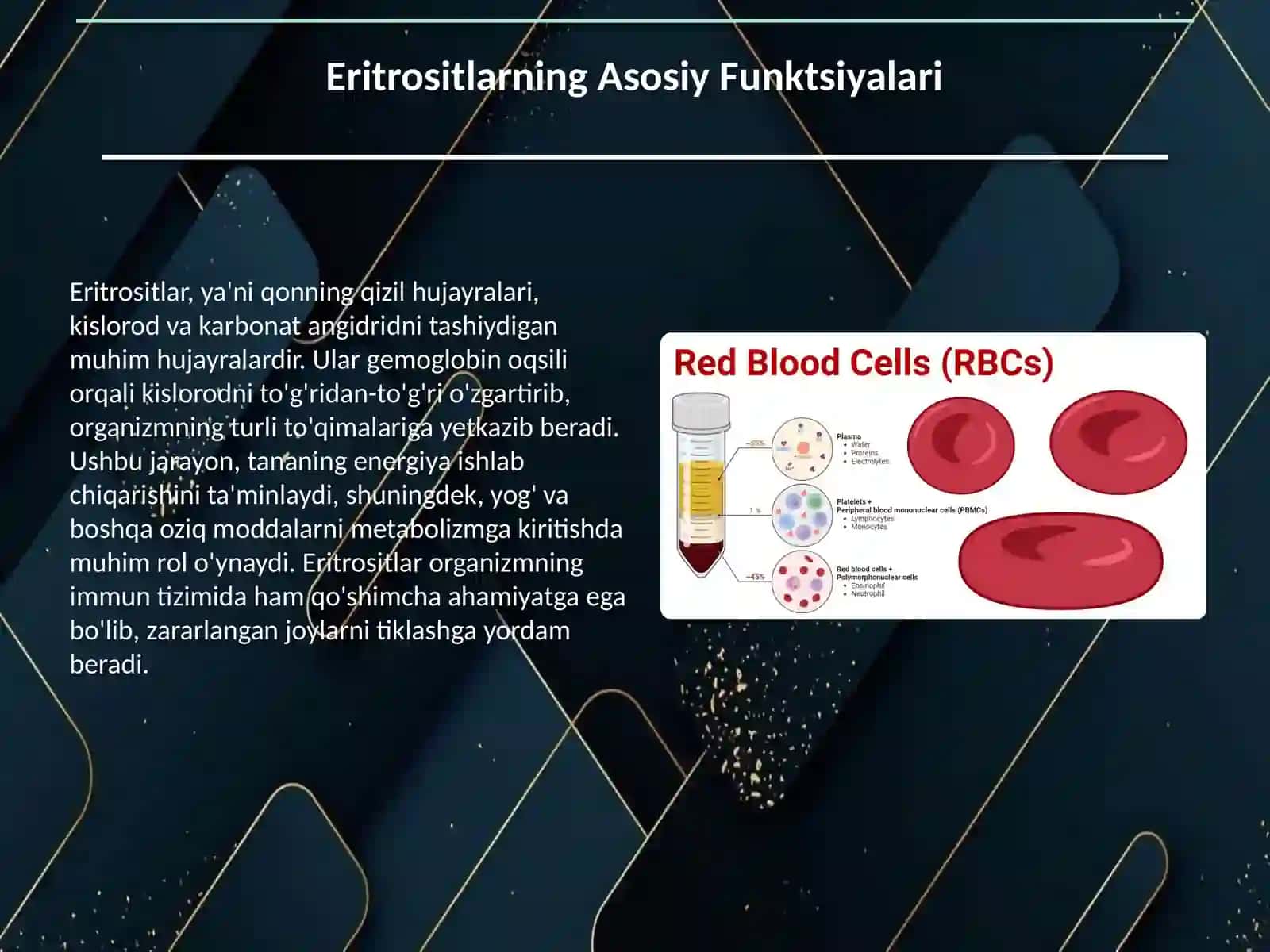 Eritrositlar /gistologiya 2