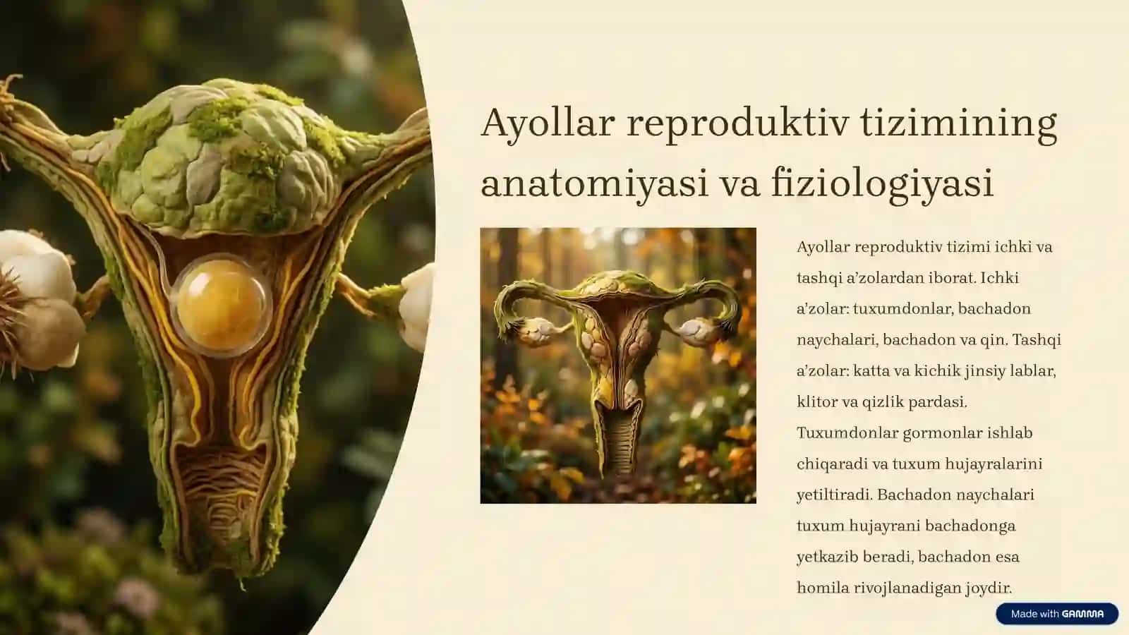 Ayollar va erkaklar reproduktiv aʼzolari kasalliklari 2