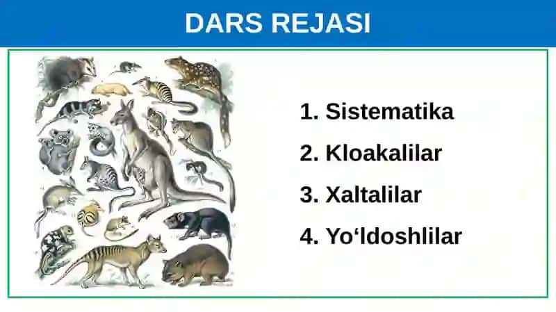 DARS REJASI 2