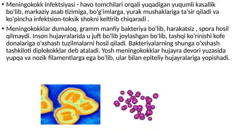 Meningokokkli infesiya 2