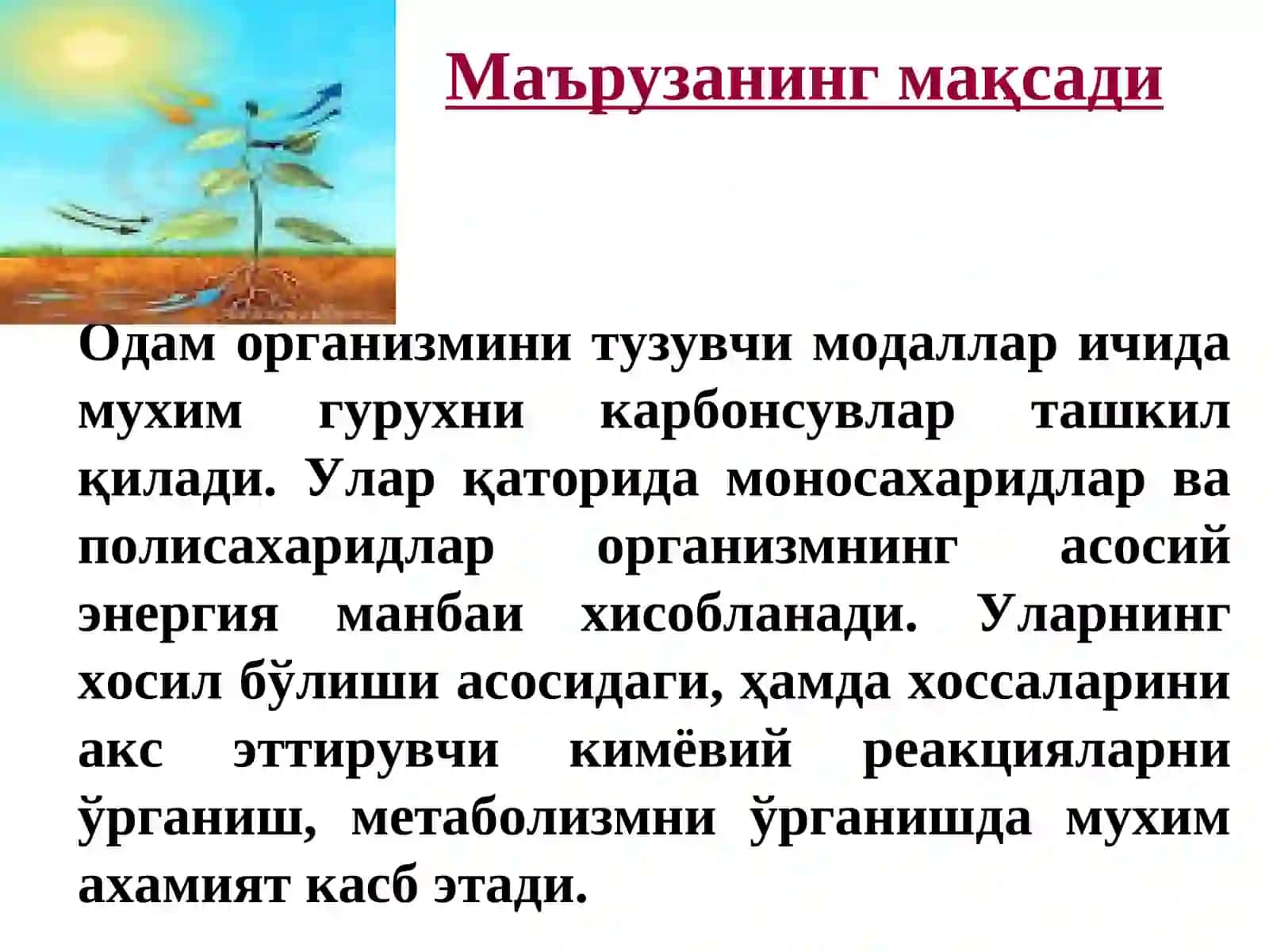 Карбонсувлар. Тузилиши, хоссалари ва функциялари 2