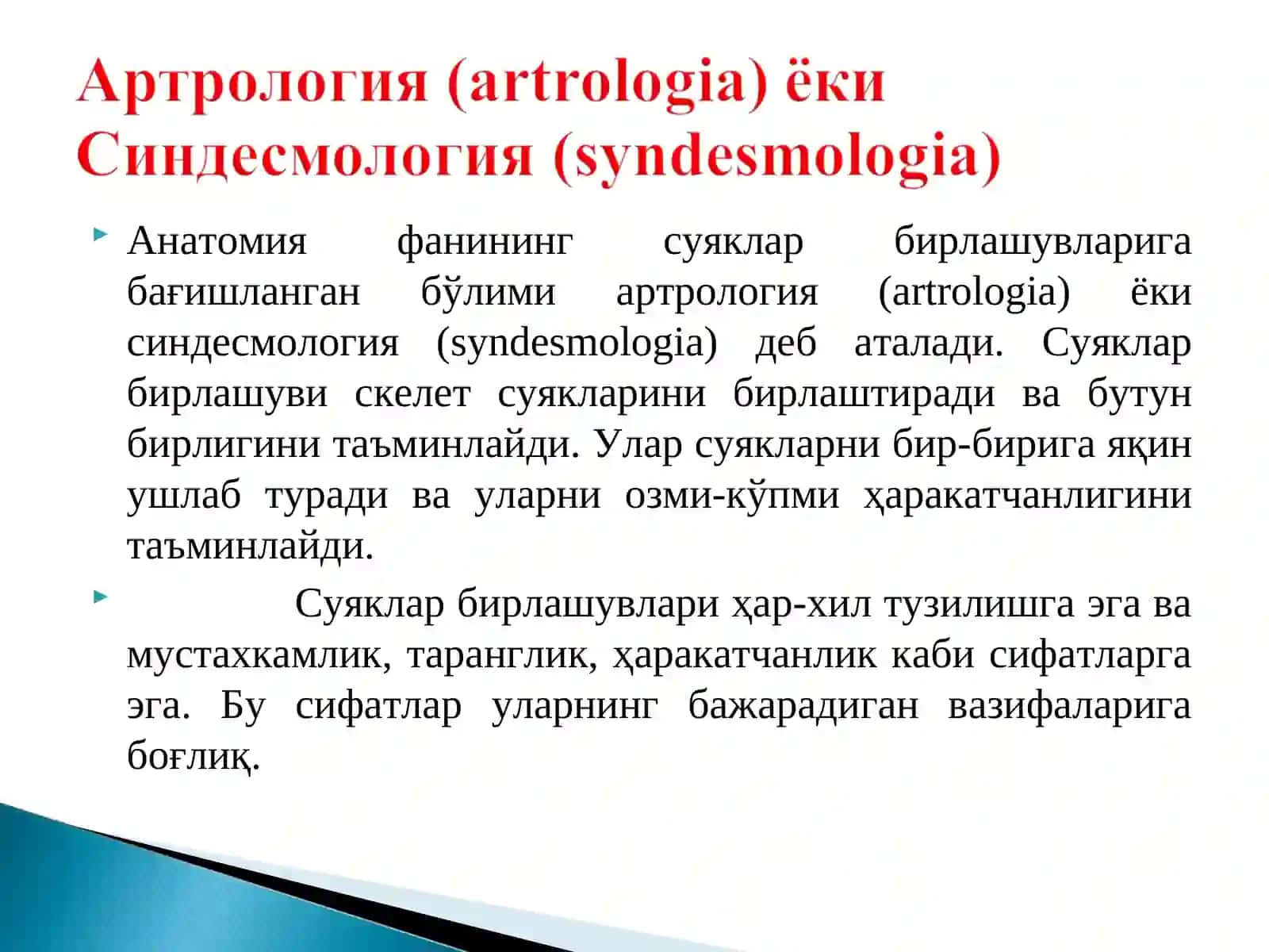 Анатомия фани 2