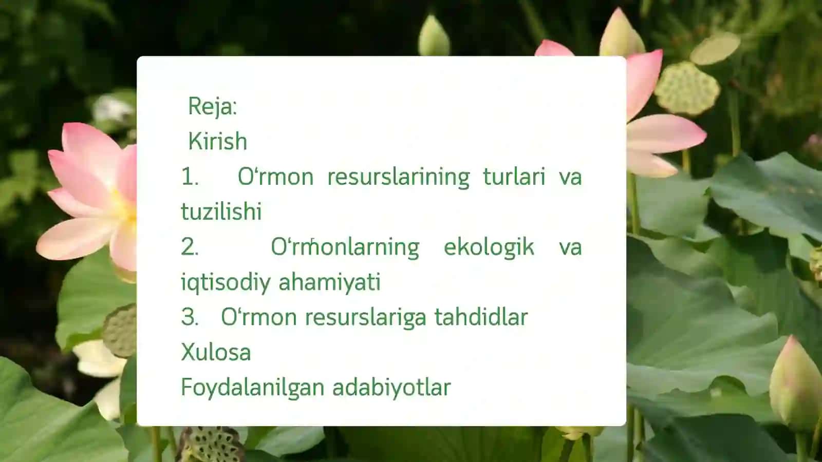 O'rmon Resurslari va Ularini Saqlash 2