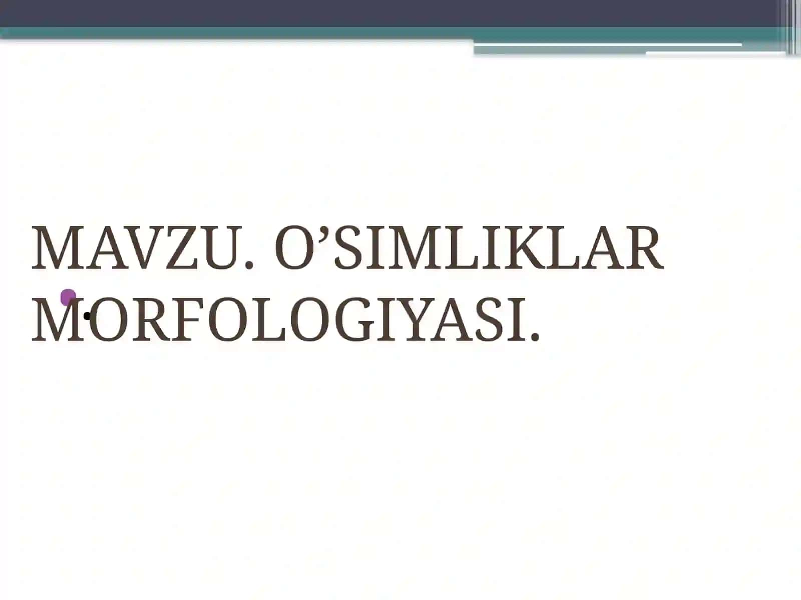 O'Simliklar Morfologiyasi 2