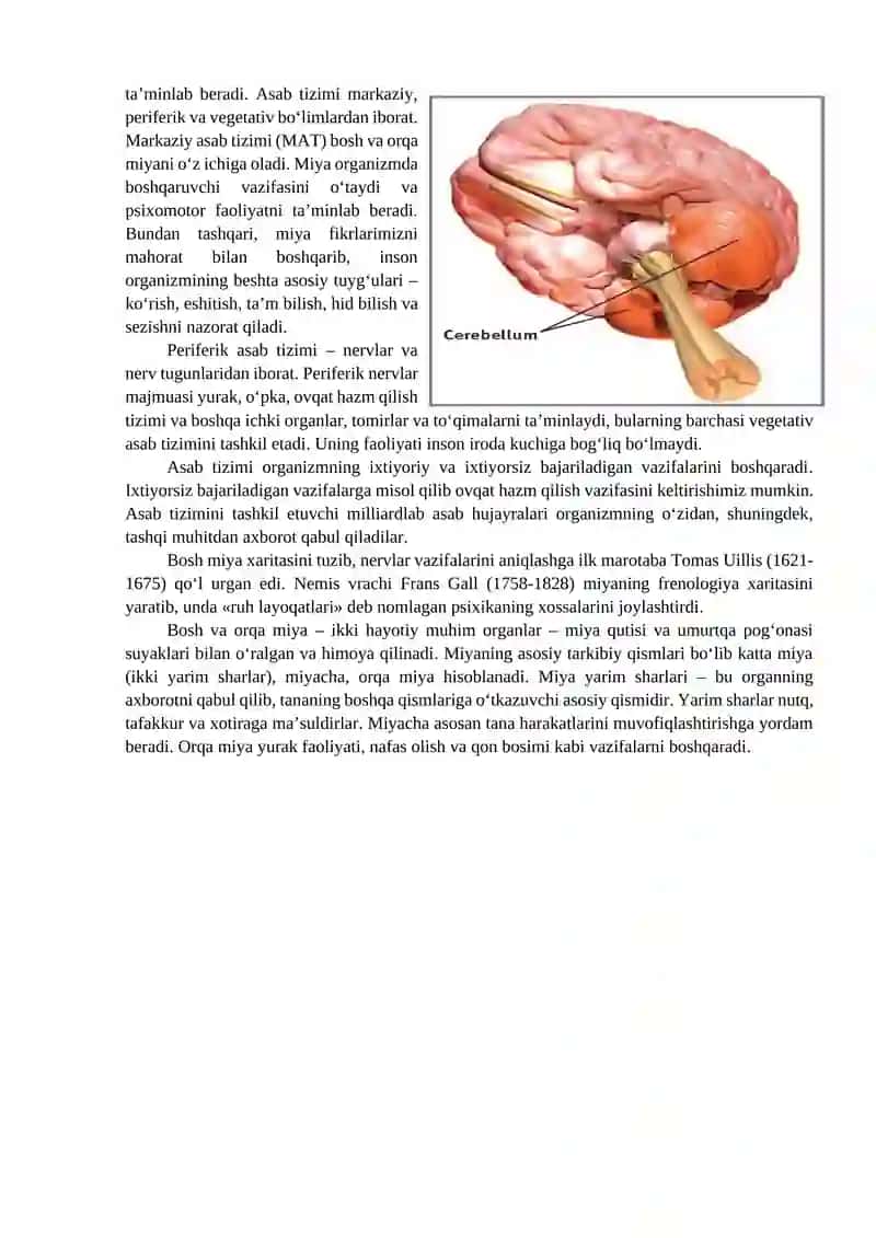 Xulq-atvorning psixofiziologik asosi 2