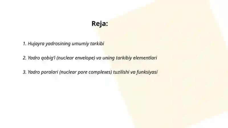 Hujayra yadrosining tarkibi xromosomalar tizilishi va ularning strukturaviy xususiyatlari 2
