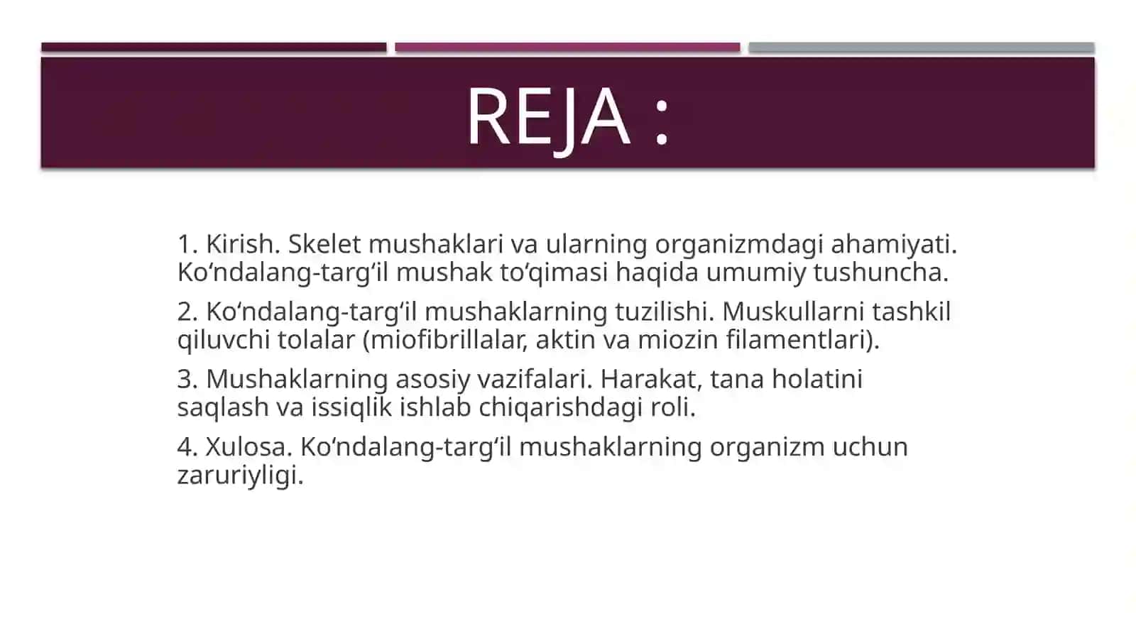 Ko`ndalang-targ`ilskelet mushak to`qimasining tuzilishi 2