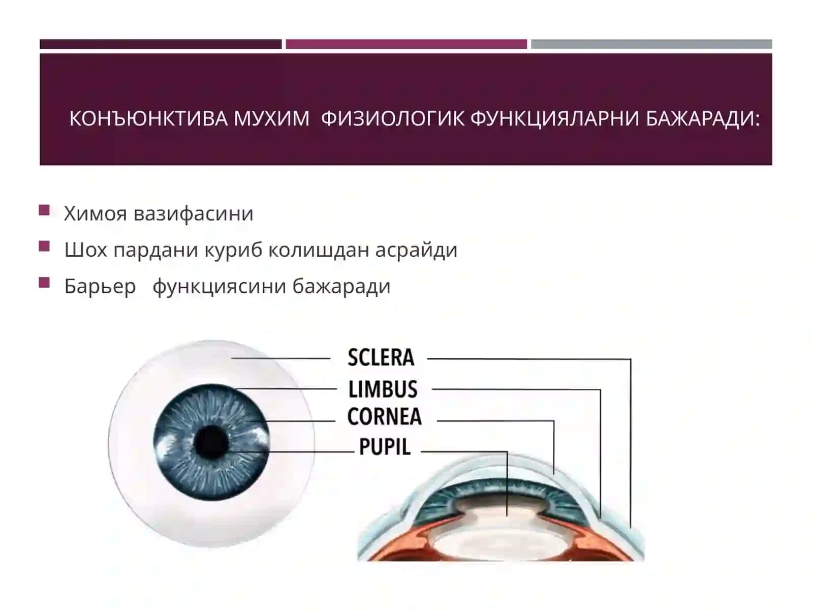 КОНЪЮНКТИВА КАСАЛЛИКЛАРИ 2