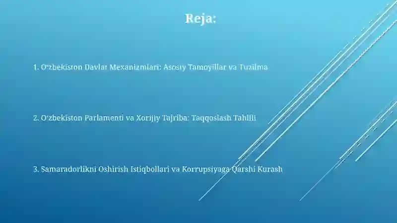 Oʻzbekiston Davlat Mexanizmlari: Asosiy Tamoyillar va Tuzilma 2