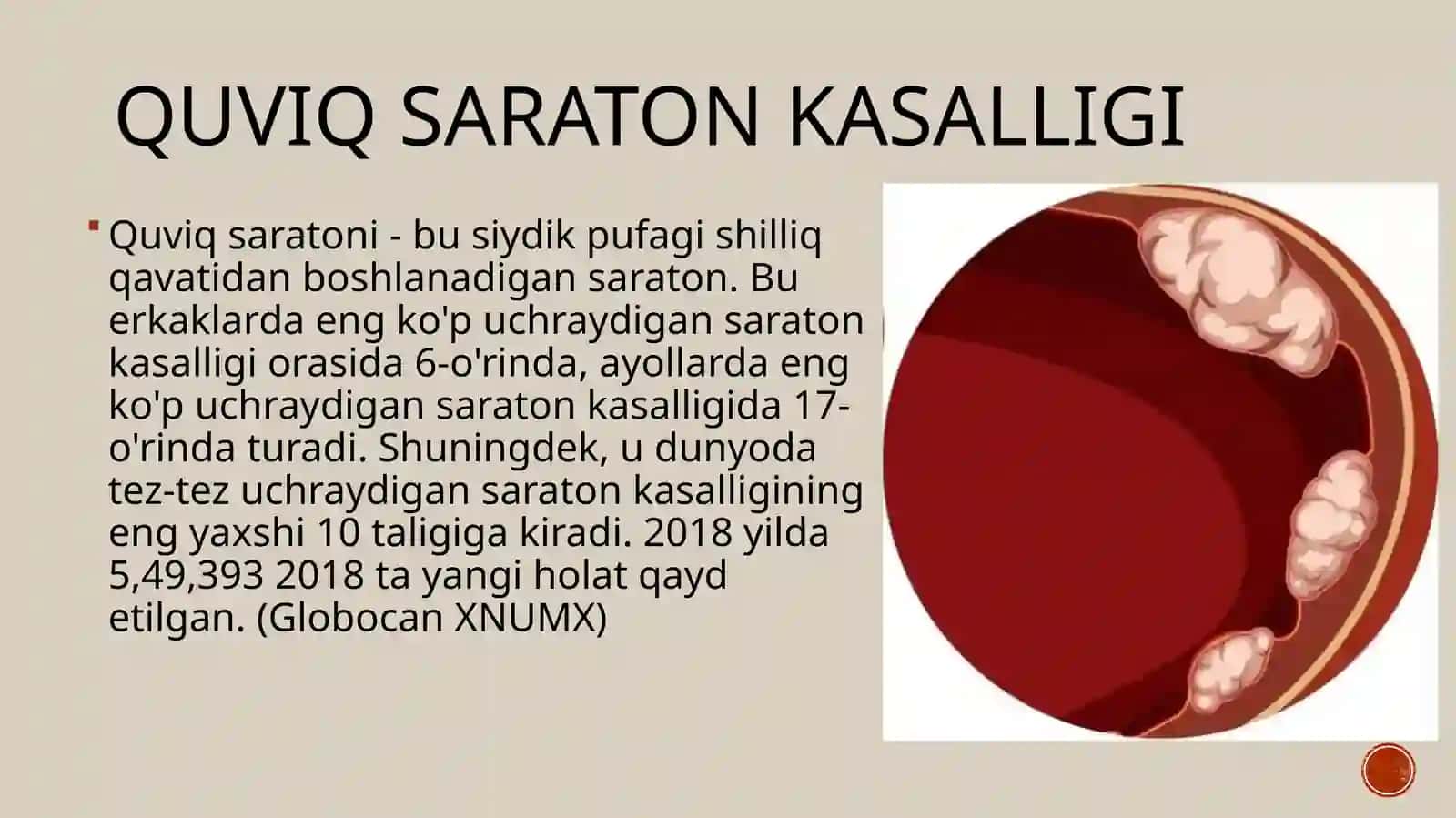 Qovuq raki haqida umumiy ma’lumot 2