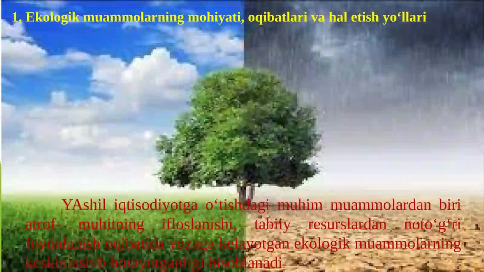 EKOLOGIK SIYOSAT VA UNI AMALGA OSHIRISHNING IQTISODIYMEXANIZMI 2