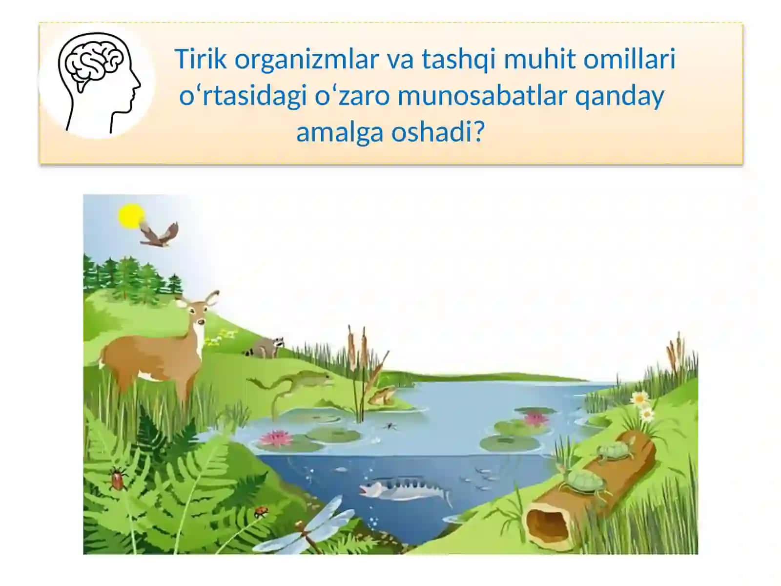 EKOSISTEMALARDAGIO'ZAROMUNOSABATLAR 2