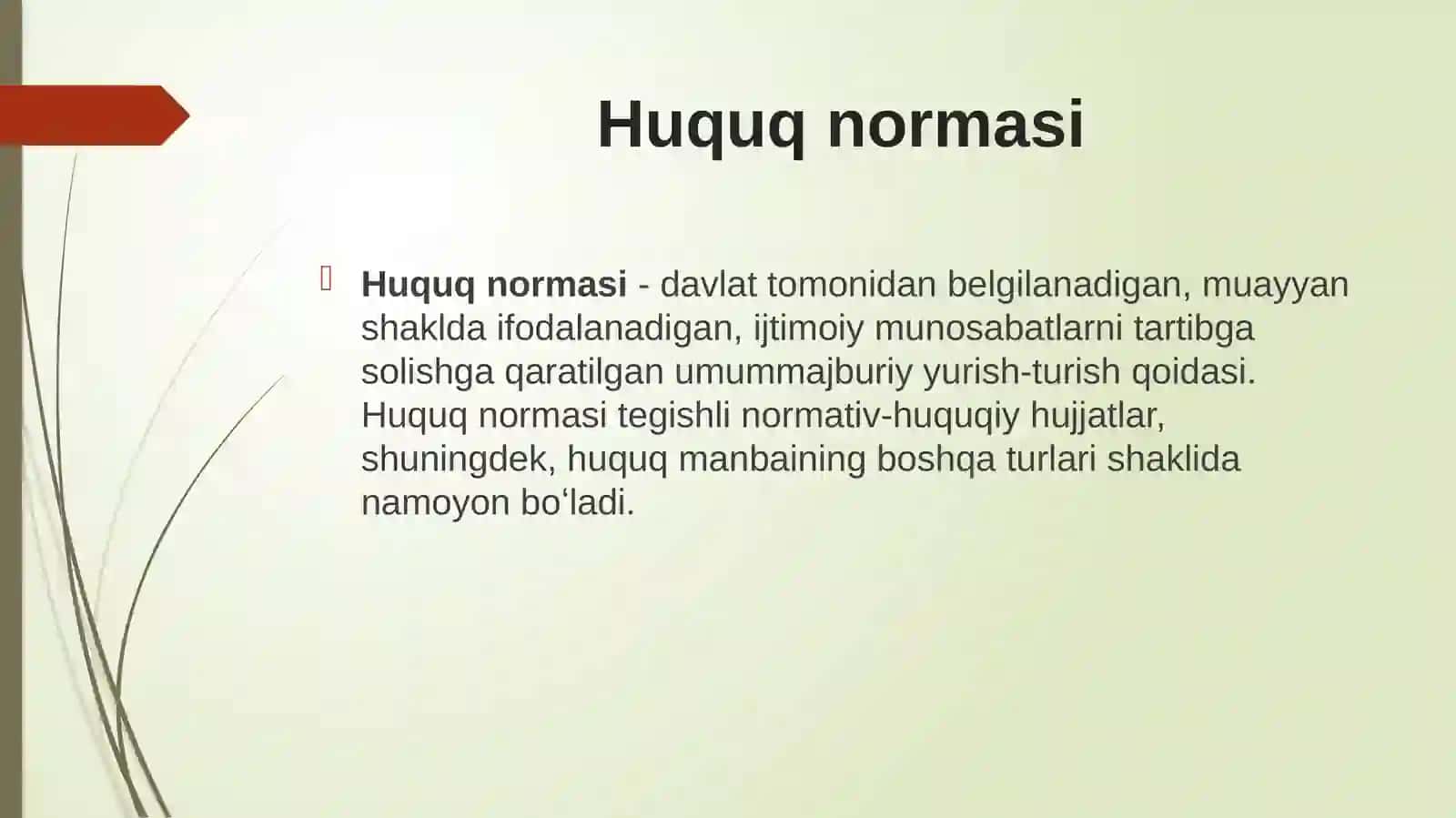 Ma’muriy-huquqiy norma 2