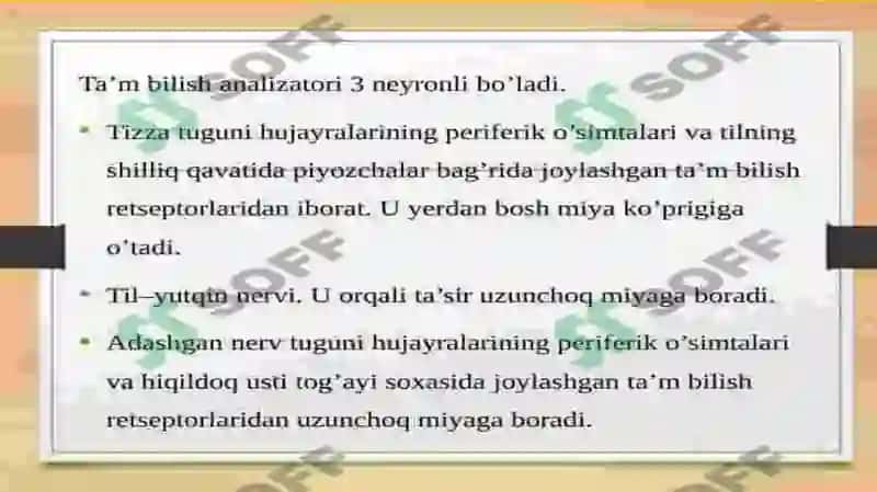 Ta’m bilish a’zosi 2