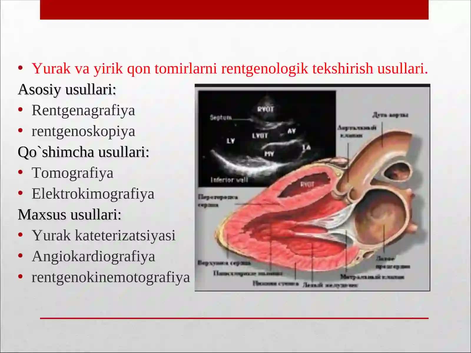 Yurak va yirik qon tomirlarni rentgenologik tekshirish usullari 2