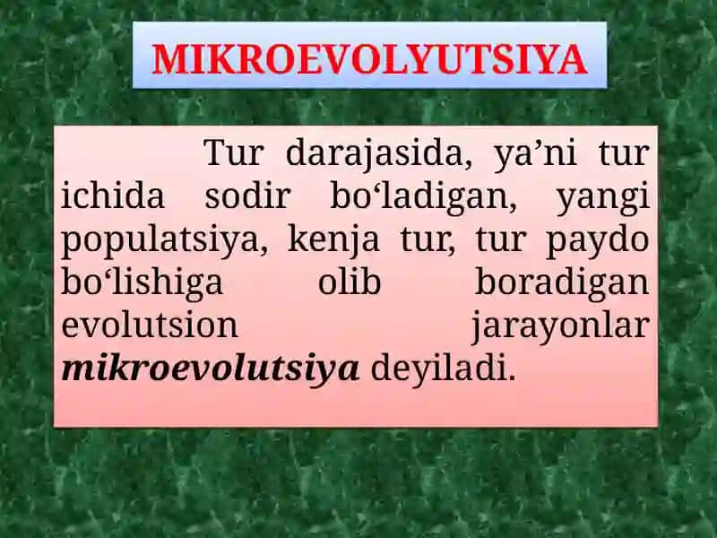 EVOLUTSIYANING SINTETIK NAZARIYASI 2
