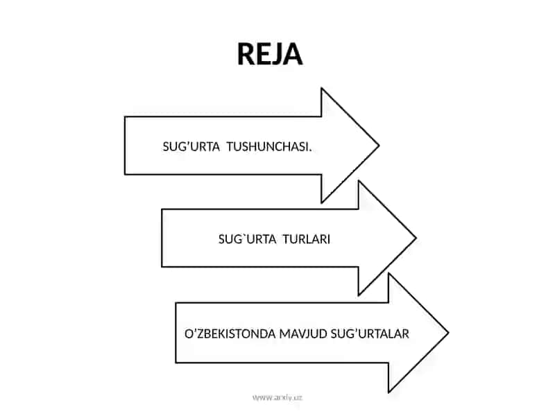 Sug`urta 2