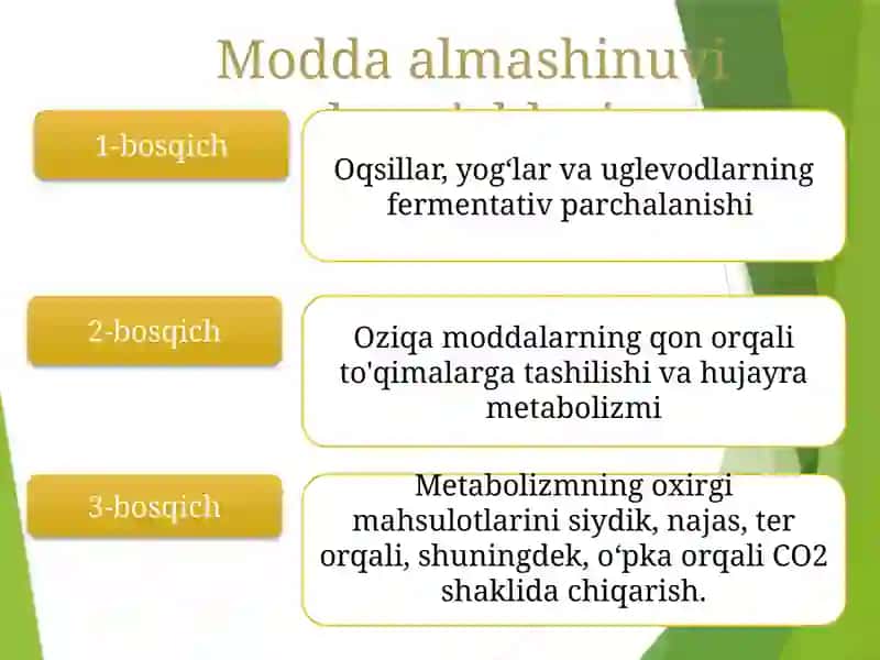 Moddalar almashinuvi fiziologiyasi 2