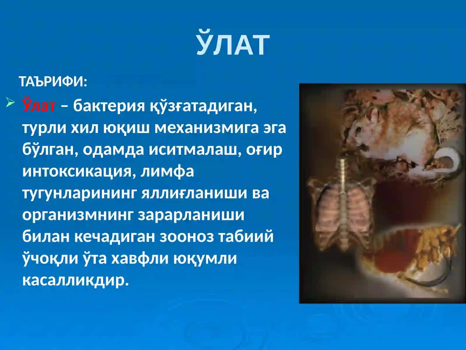 ЎЛАТ 2