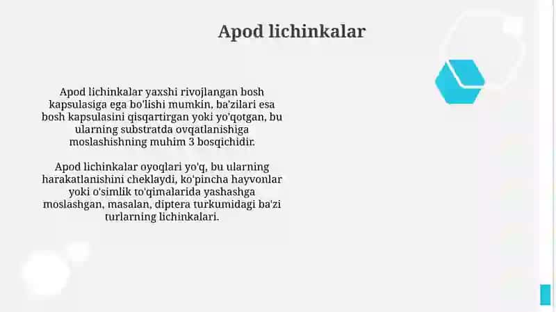 Apod lichinkalar 2