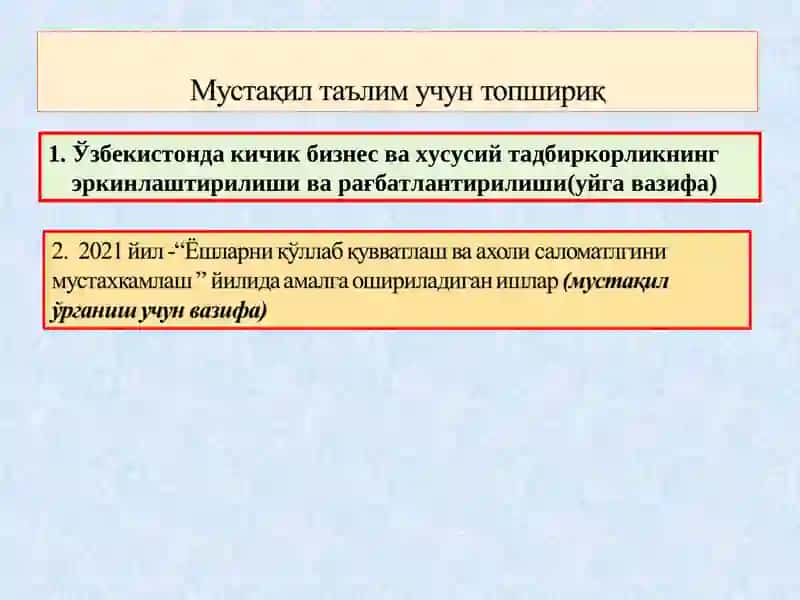 Кичик бизнес ва хусусий тадбиркорликнинг эркинлаштирилиши ва рағбатлантирилиши 2