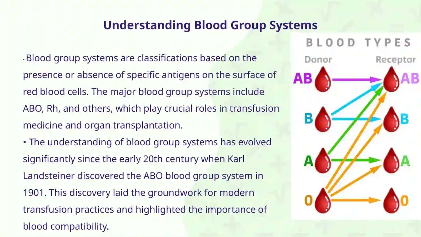 Explore blood groups and compatibility rules 2