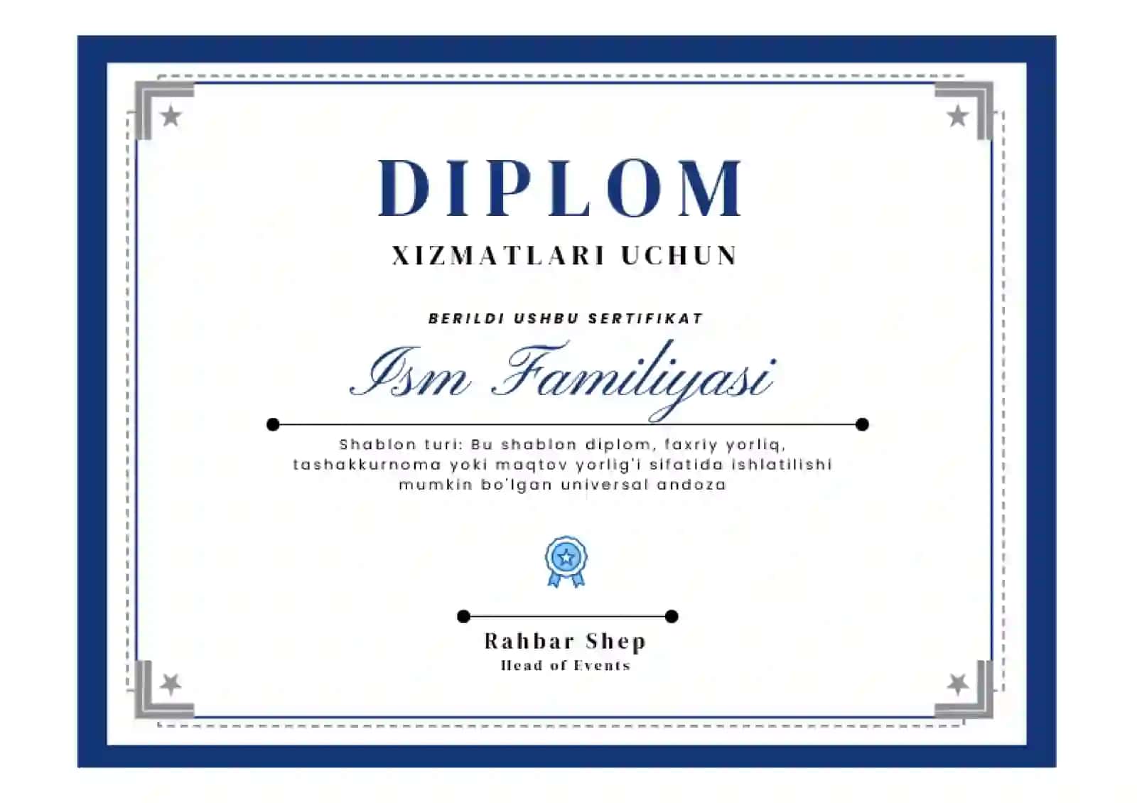 DIPLOM 2