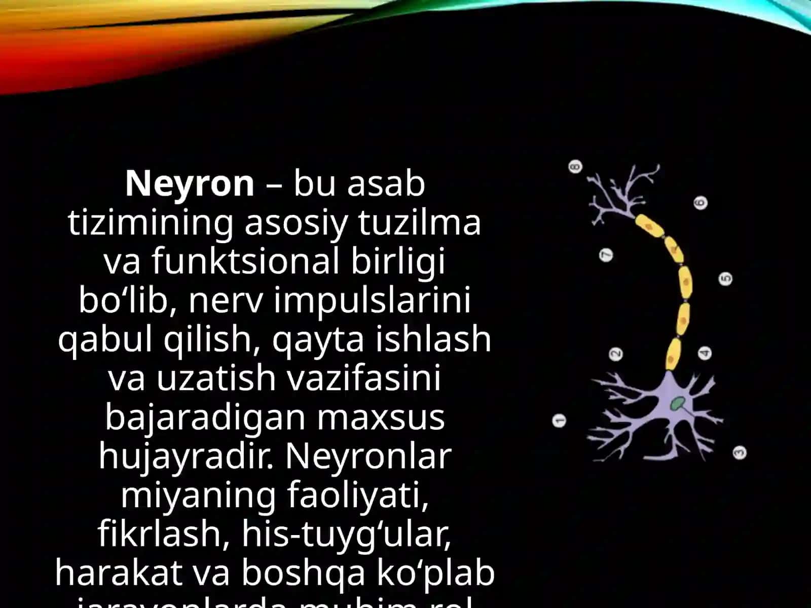 Neyron 2