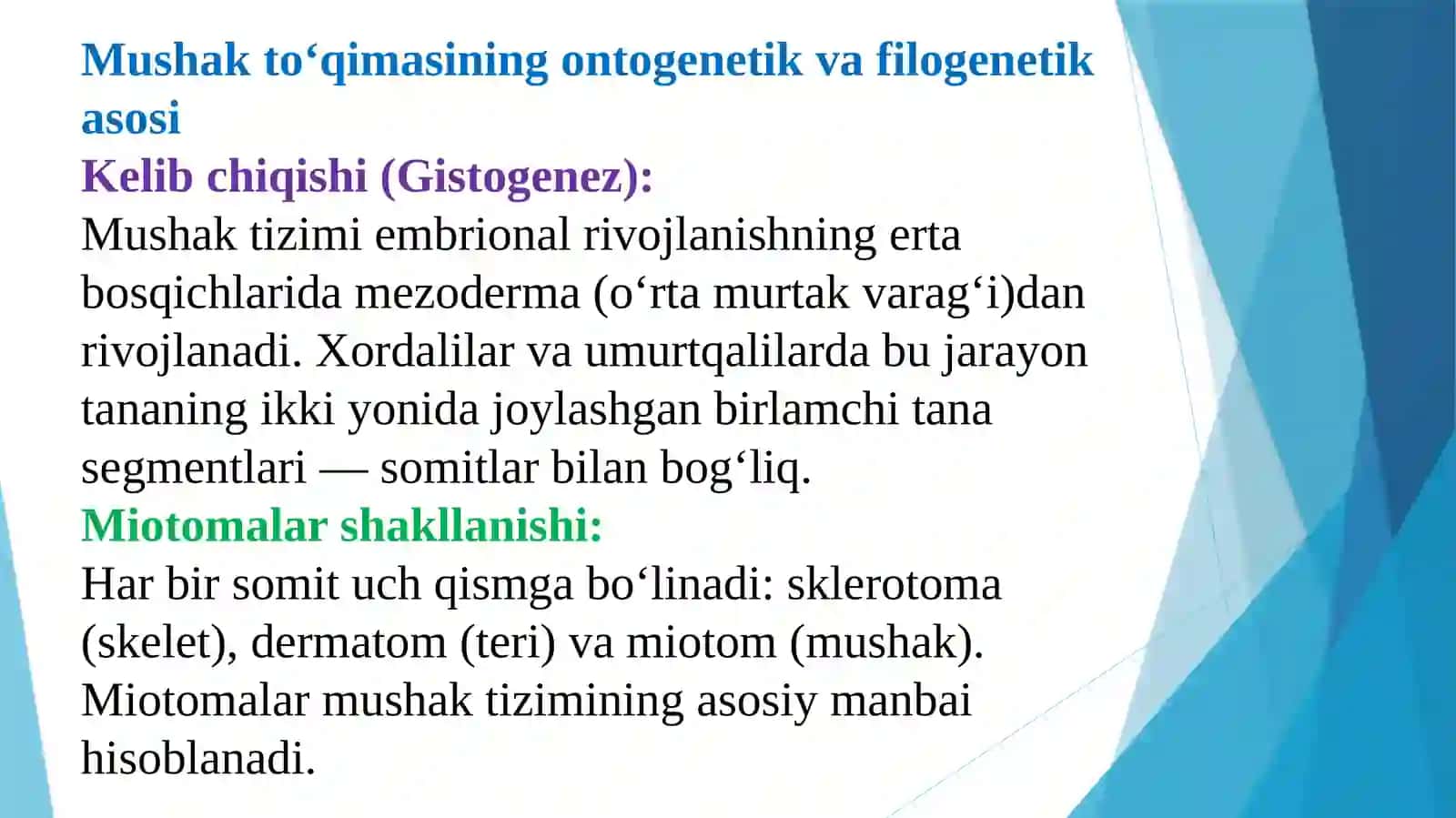 Mushak tizmning filogenetik rivojlanishi taqdimot 2