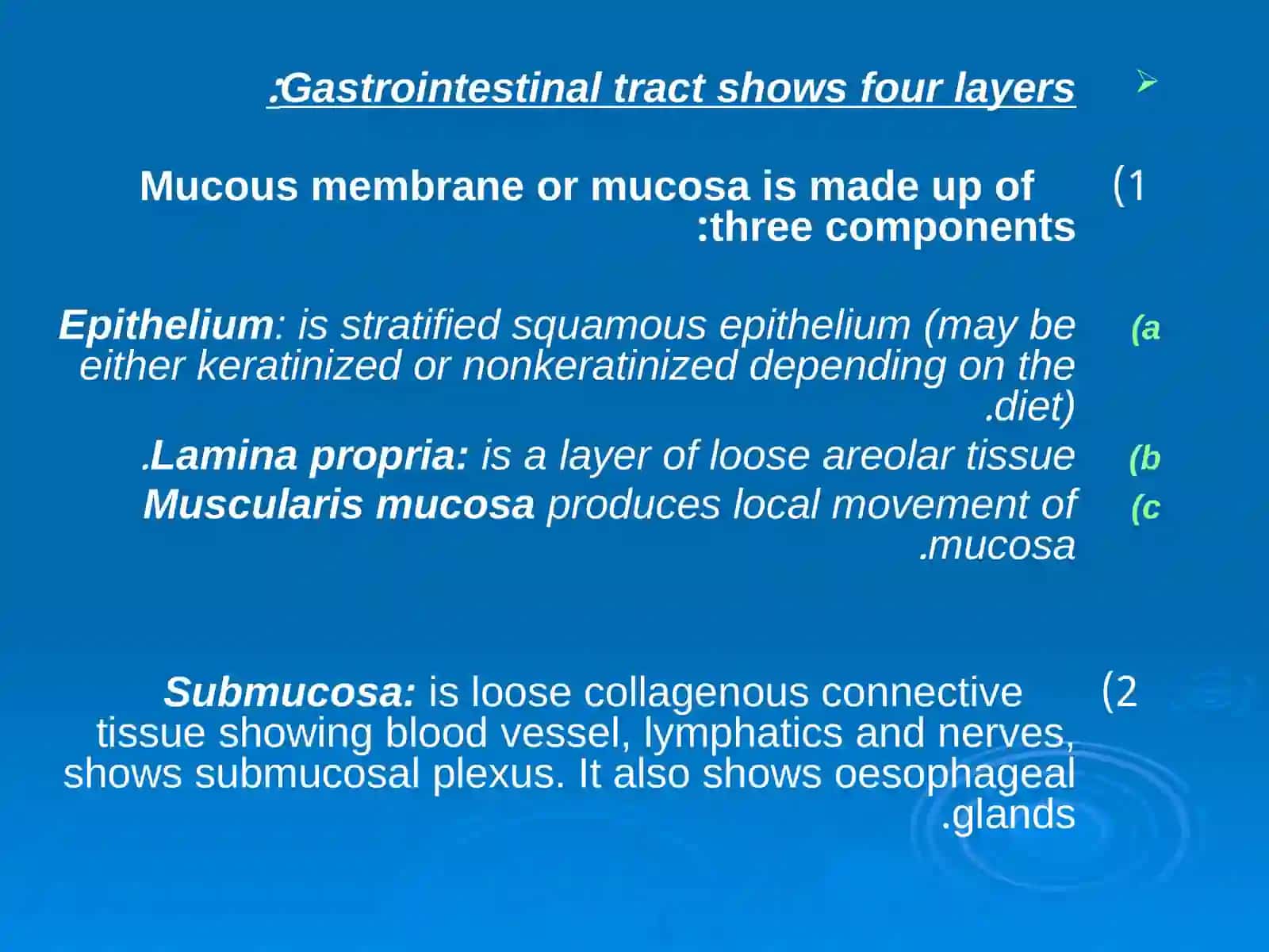 DIGESTIVE SYSTEM 2