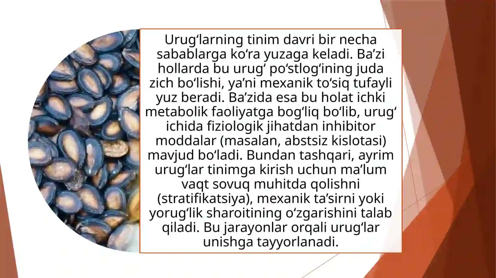 Urugʻlarni tinim davrida oʻrganish 2