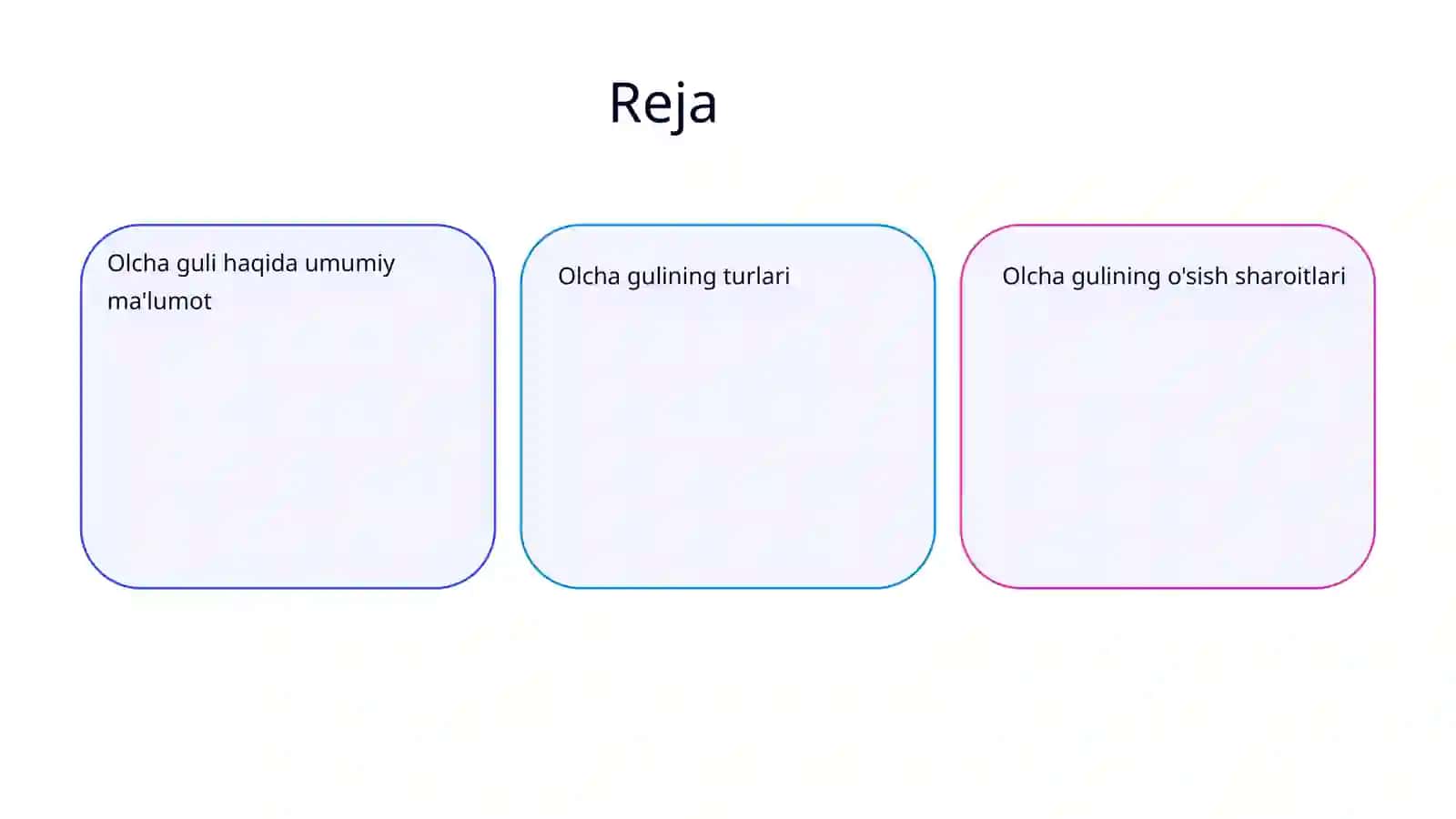 OLCHA GULI 2