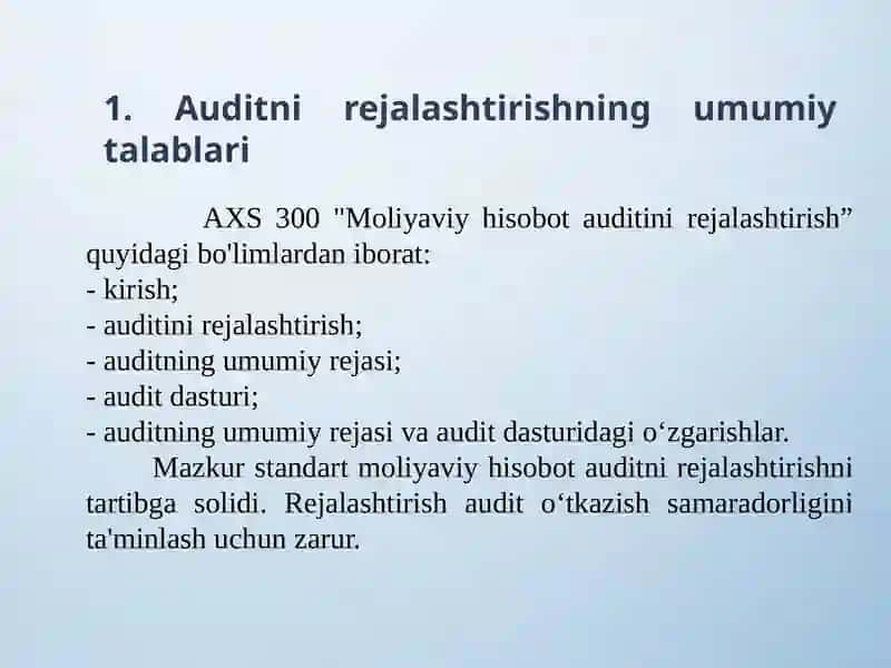 Auditni rejalashtirish 2