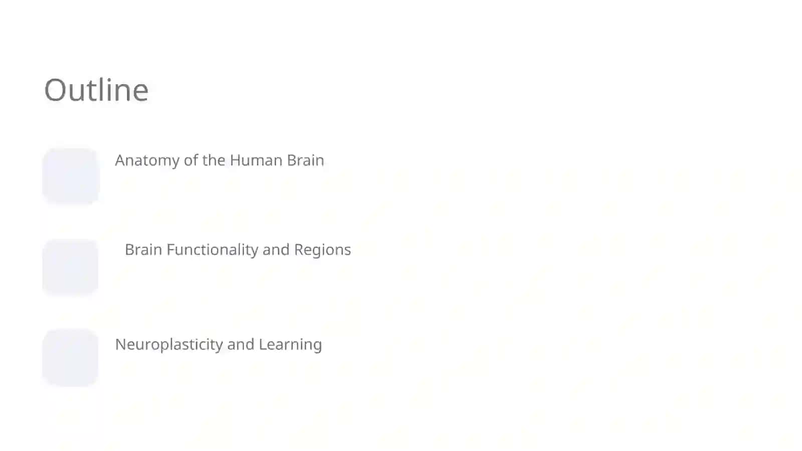 Human Brain 2