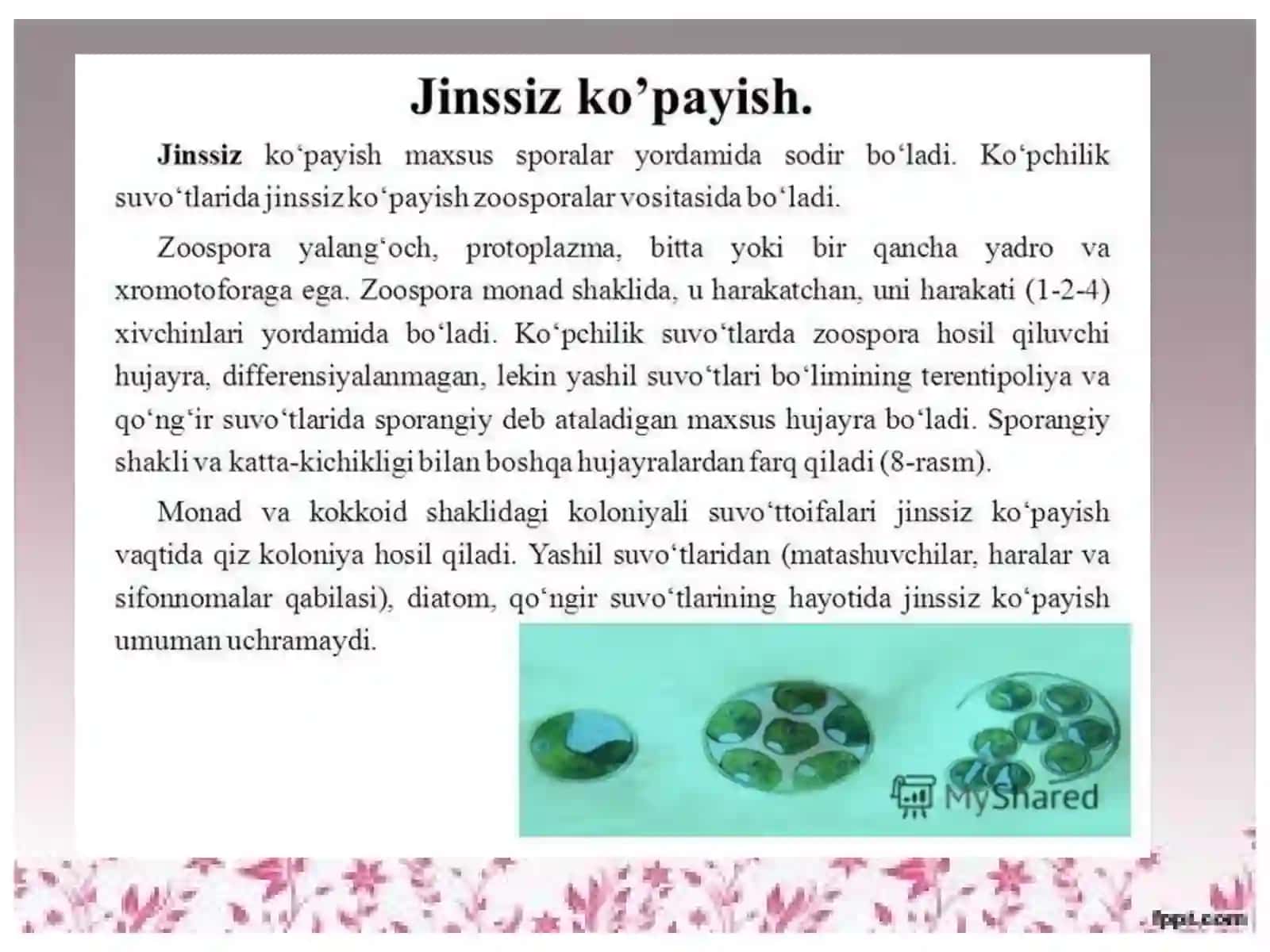 Organizmlarning ko'payish xillari 2