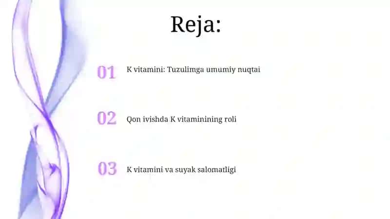 K vitamini 2