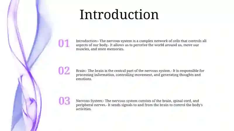 Brain And A Nervous System 2