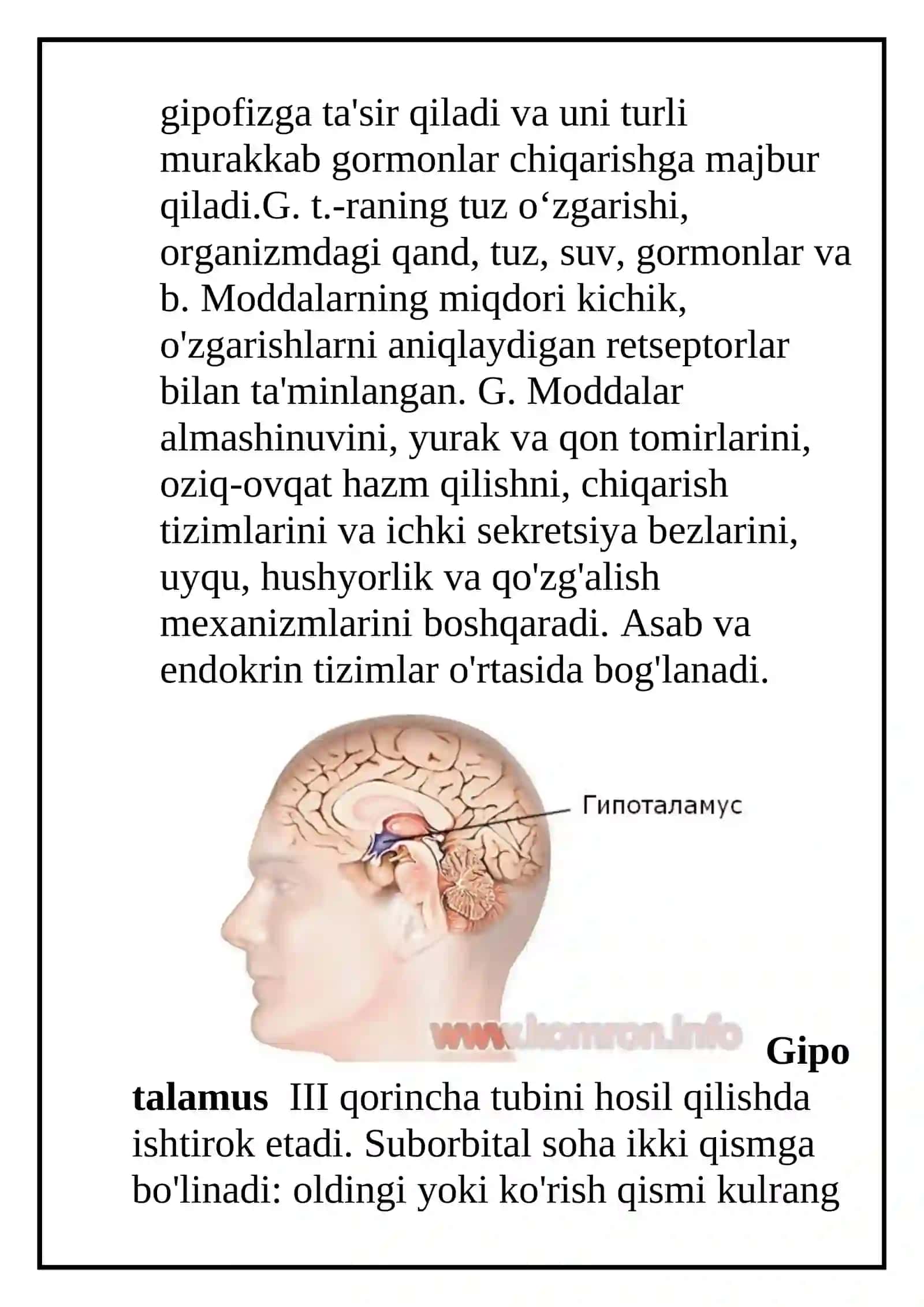 Gipotalamus o’zaklari va ularning klinik ahamiyati 2