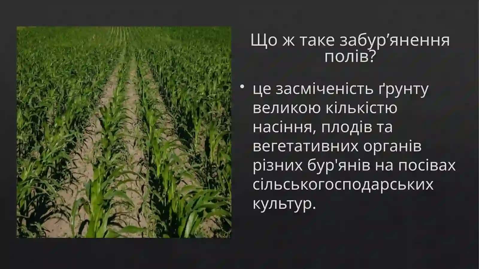 Агротипизабур’яненняполів 2