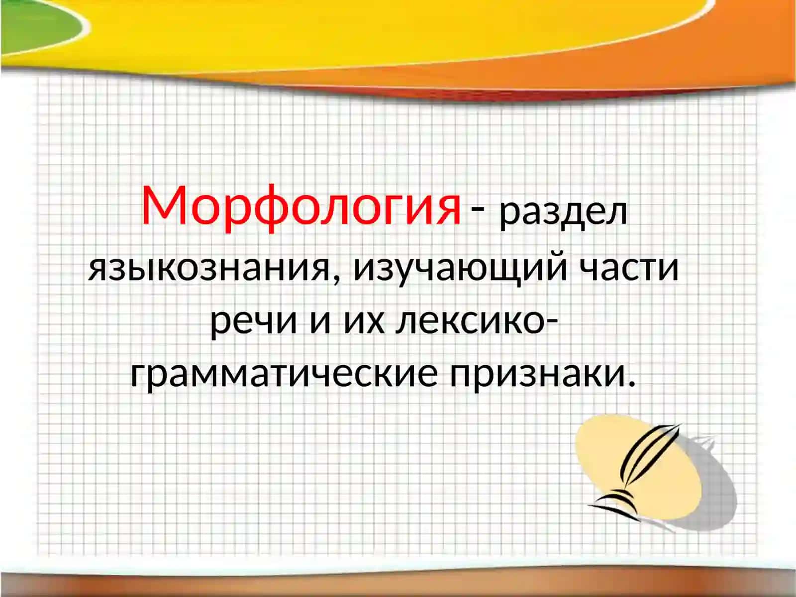 Морфология. 2
