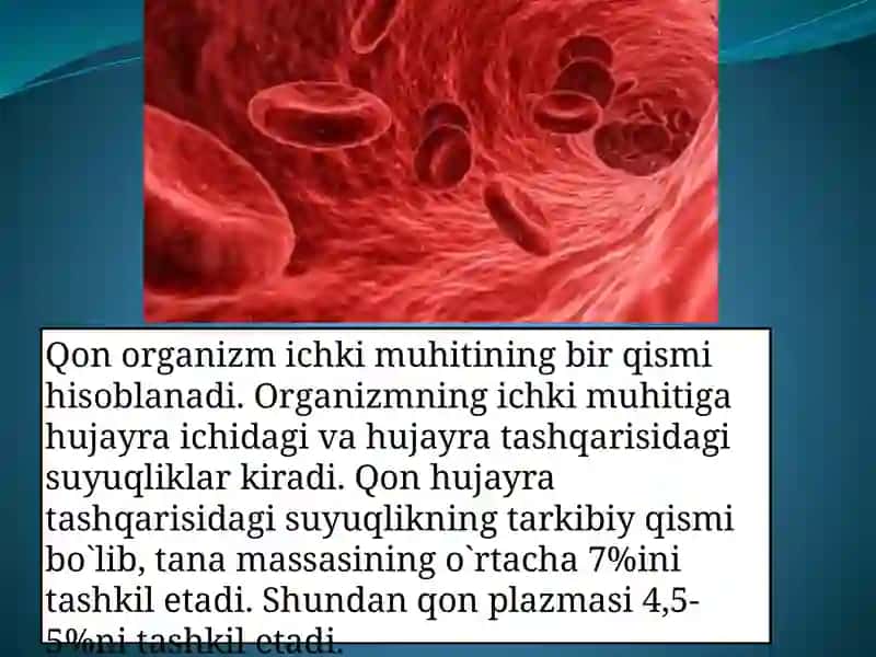 QONNING TUZILISHI, FUNKSUYALARI VA YOSHGA OIDXUSUSIYATLARI 2